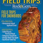 Field_Trip_cover rgb