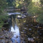 Cosumnes River