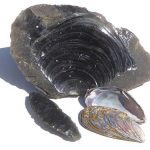 Conchoidal fracture in obsidian resembles