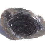 Conchoidal fracture in obsidian