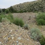 Dredge tailing windrows