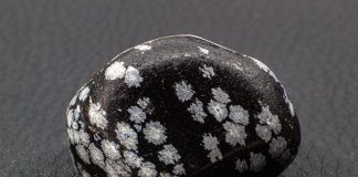 tumbled snowflake obsidian with snowflakes that are silicon dioxide polymorph cristobalite