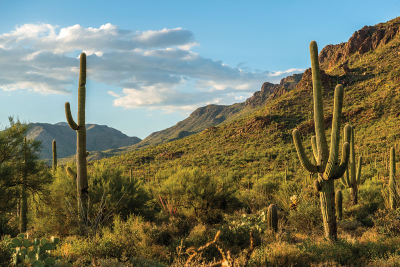 Tucson Gem & Mineral Show Vibes | Rock & Gem Magazine