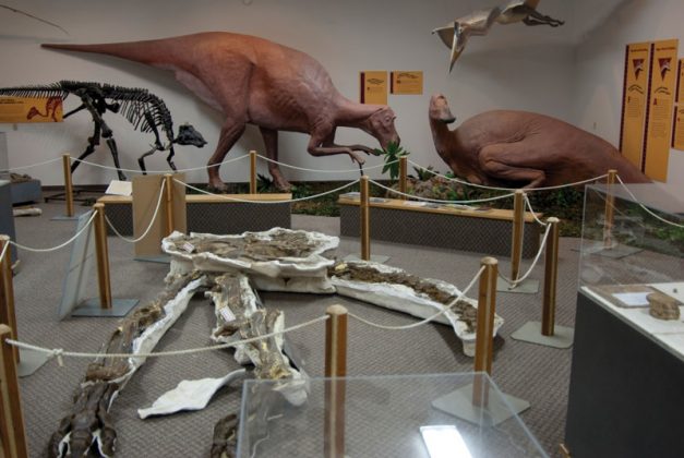 Exploring the Montana Dinosaur Trail | Rock & Gem Magazine