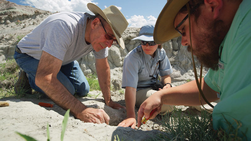 Exploring the Montana Dinosaur Trail | Rock & Gem Magazine