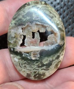 fallen tree thundereggs oval shaped cabochon