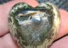 fallen tree thundereggs heart shaped cabochon