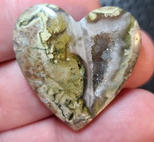 fallen tree thundereggs heart shaped cabochon