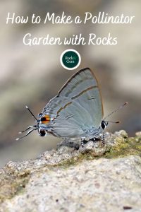 how-to-make-a-pollinator-garden 