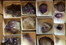 how-to-store-a-rock-collection-properly