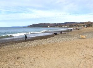 mile long stretch of ventura beach