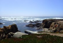 overlooking glass beach at Fort Bragg