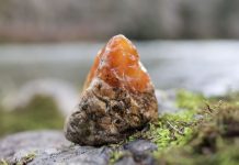 carnelian agate found rock collecting from a kayak