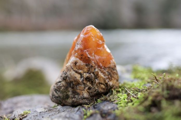 carnelian agate found rock collecting from a kayak