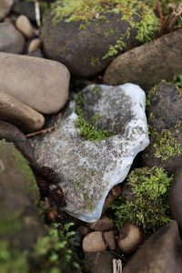 kayak-rock-collecting