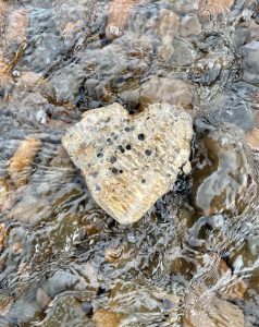 oregon-rock-collecting