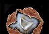 thunderegg half makes it easy to identify what is a thunderegg