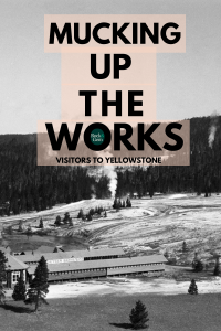 vistors-to-yellowstone