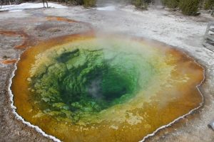 Morning Glory Pool in Yellowstone National Park