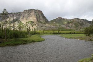 Madison River in West Yellowstone