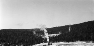 visiting Yellowstone often included a visit to the Geyser Baths swimming pool