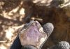 amethyst crystal from crystal park montana