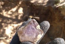 amethyst crystal from crystal park montana