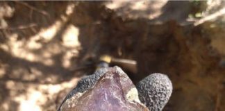 amethyst crystal from crystal park montana