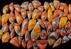 a menagerie of various morgan hill poppy jasper cabochons