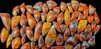 a menagerie of various morgan hill poppy jasper cabochons