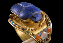 scarabs