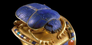 scarabs