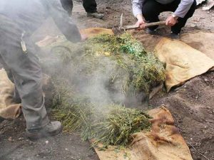 cooking stones being uncovered to reveal cooked meat