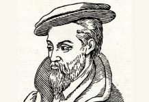 georgius agricola the author of de re metallica