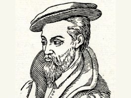 georgius agricola the author of de re metallica