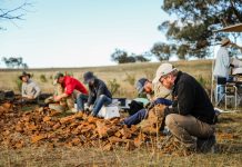 people digging for microfossils in a field