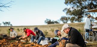 people digging for microfossils in a field