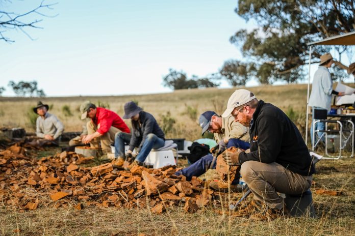 people digging for microfossils in a field