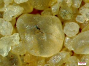 sand grains close up